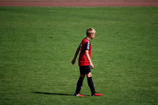 爱游戏官网充值-中国足球俱乐部青训营技术指导持续加强，中国足球青训机构